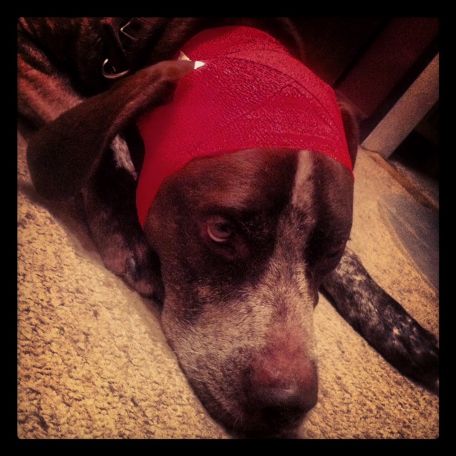 red baron